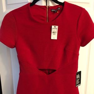 NWT Express Dress